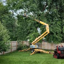 Best Commercial Tree Services  in Apple Valley, MN